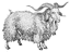 Character: Goat / Sheep (Generic)