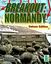 Board Game: Breakout: Normandy