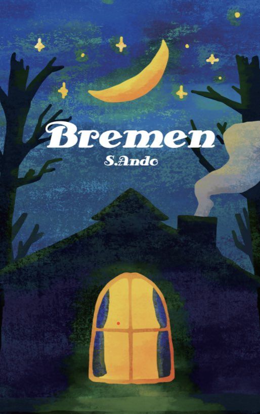 Boîte du jeu Bremen