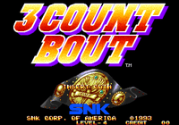 Video Game: 3 Count Bout