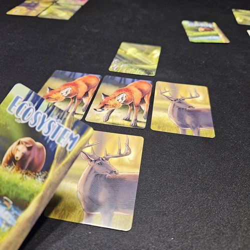 Ecosystem - Gameplay