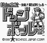 Video Game: Nekketsu Kōkō Dodgeball Bu Kyōteki! Tōkyū Senshi no Maki