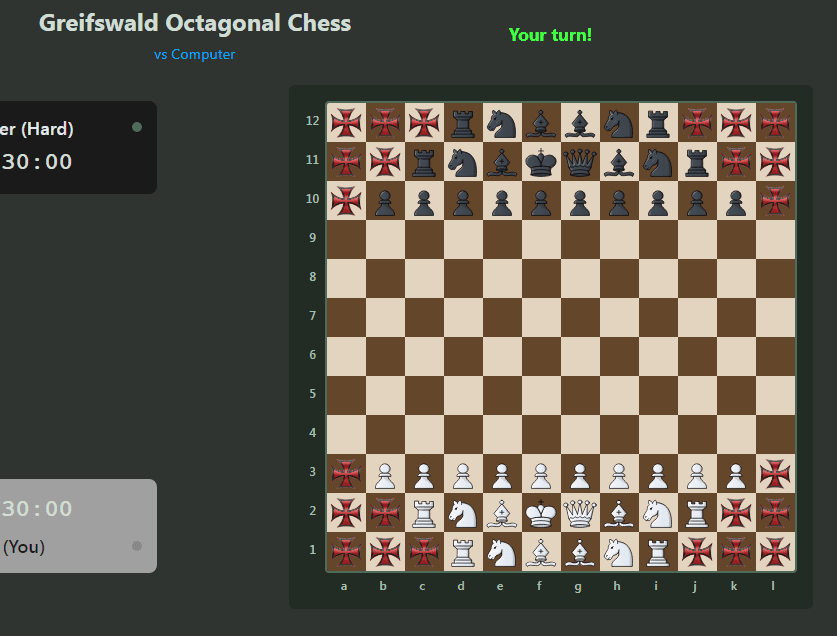 Greifswald Octagonal Chess | Chess