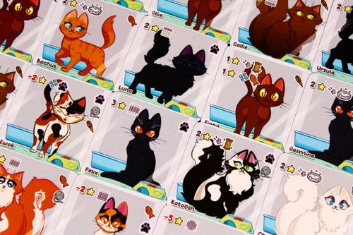 Board Game: Way Too Many Cats!