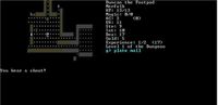 Video Game: Linley's Dungeon Crawl