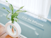 Find the Difference