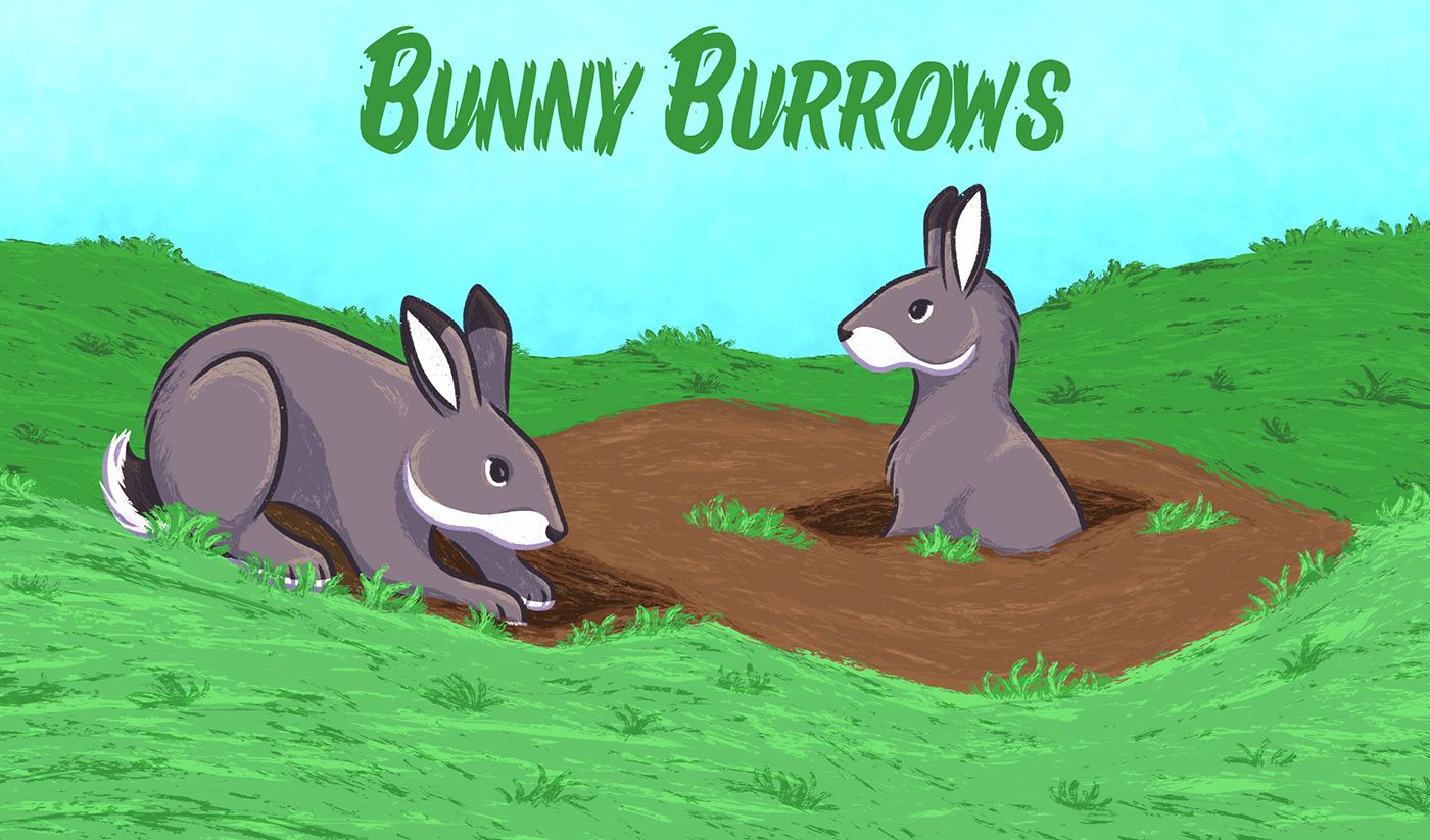 Cover art for Bunny Burrows