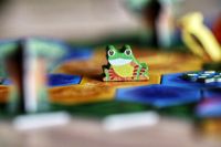 Life of the Amazonia (preview copy)