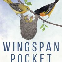 Wingspan Pocket