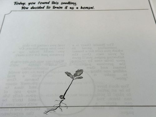 The Bonsai Diary: Tracing the Life and Growth of a Seedling | Gameward  Bound | BoardGameGeek