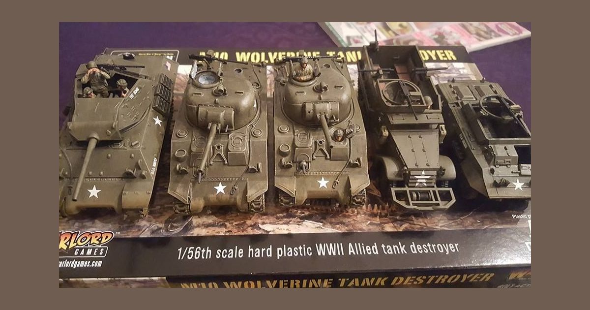 bolt action game size