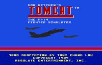 Video Game: Tomcat: The F-14 Fighter Simulator