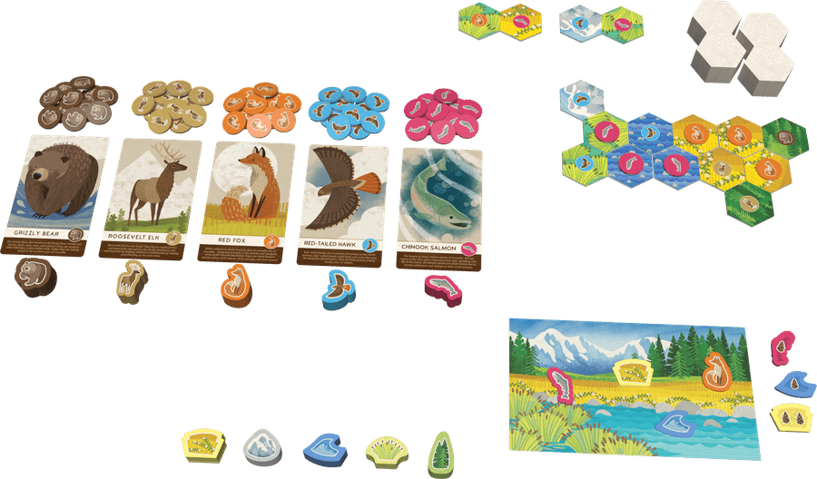 Asset image game Cascadia Junior
