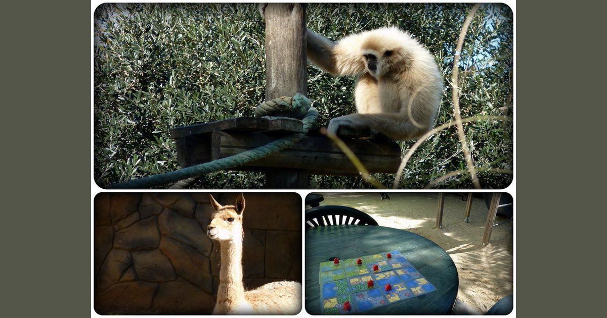 ...local farm fauna... Browsing Games BoardGameGeek