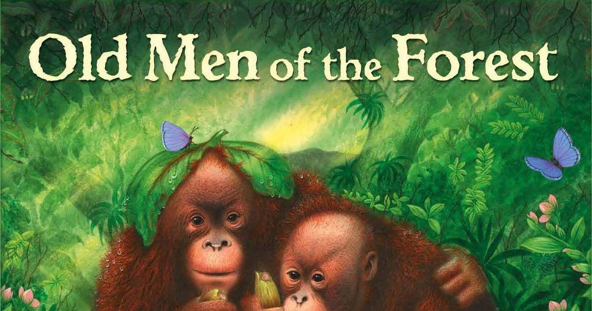 Old Men of the Forest Board Game BoardGameGeek