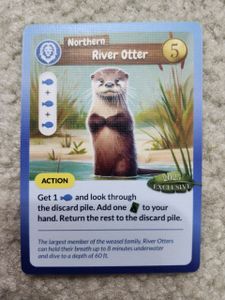 Biome: Northern River Otter Promo Card