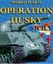 Video Game: World War 2 Operation Husky