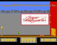 Video Game: Super Skateboardin'