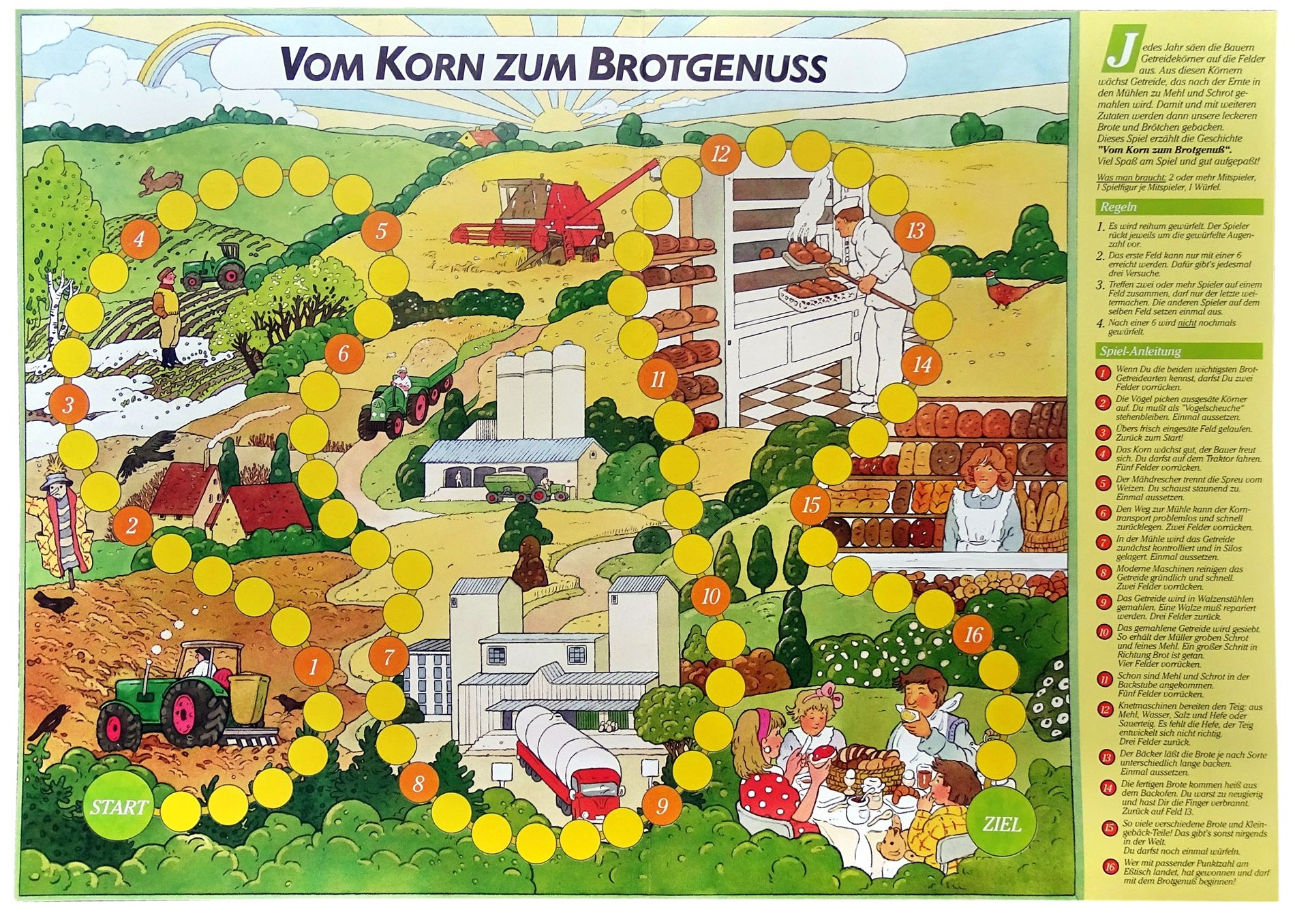 Vom Korn zum Brotgenuss