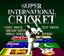 Video Game: Super International Cricket