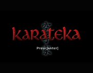 Video Game: Karateka (2012)