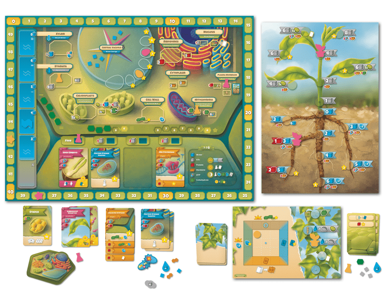 Asset image game Cellulose: A Plant Cell Biology Game