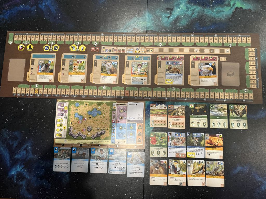 Ark Nova common set up challenge, April 2024 | BoardGameGeek