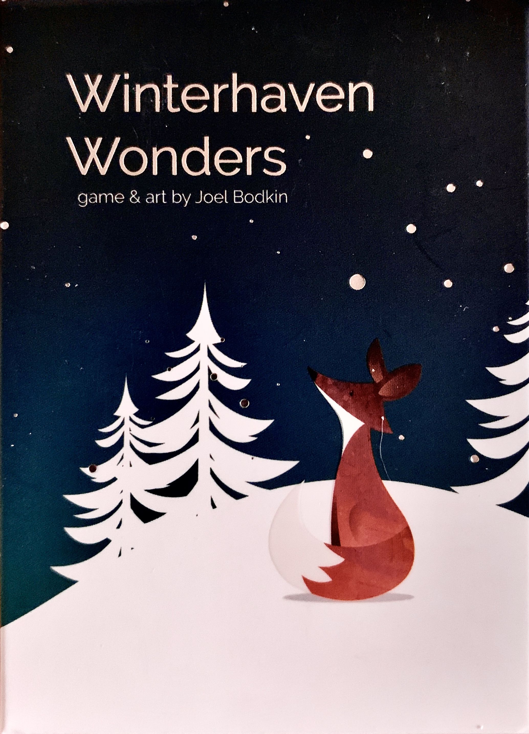 Winterhaven Woods: Winterhaven Wonders