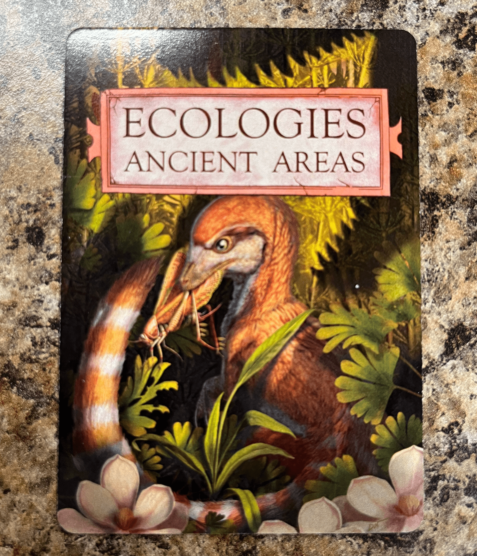 Ecologies: Ancient Areas box art