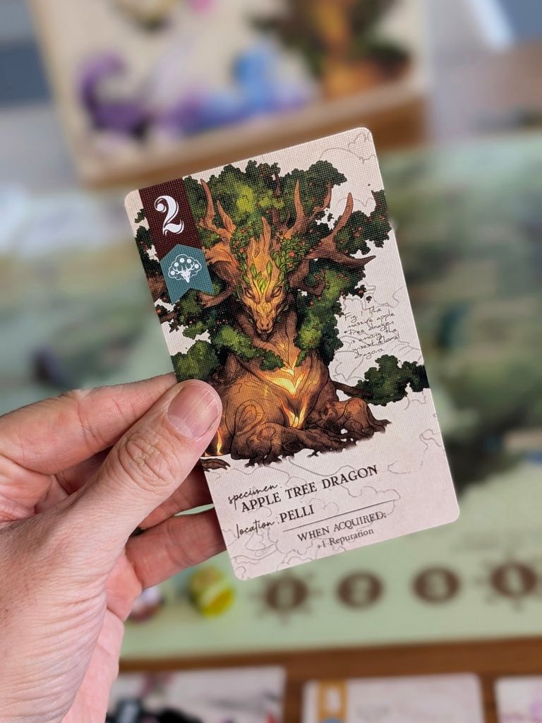 Illustration 7 de Botany Floral Dragons