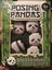 Board Game: Posing Pandas