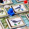  On The Origin of Species, An Evolutionary Research Board Game  by Artana Games, Charles Darwin's Trip Through the Galapagos as a  Strategic Science Board Game for Kids and Families