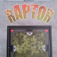 Room 25: VIP – Raptor Promo Tile