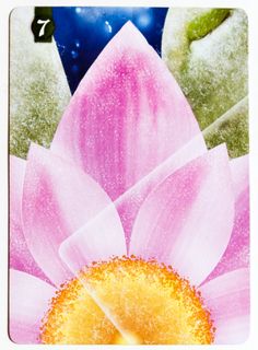 Lotus: 7 Frosted Lotus Petals