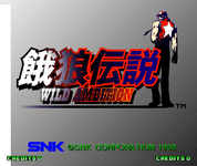 Video Game: Fatal Fury: Wild Ambition