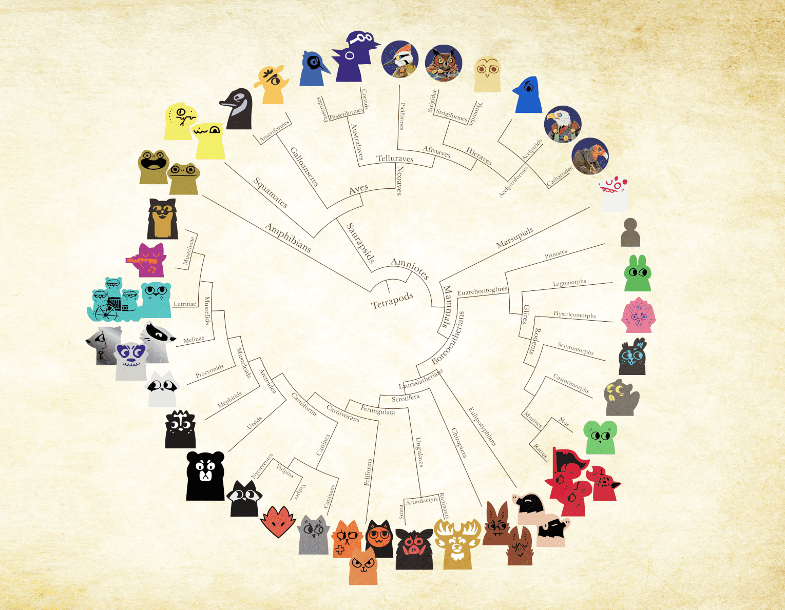 Root: Phylogeny of Meeples | Root