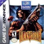 Video Game: Blackthorne