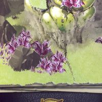 The 7th Continent: The Flying Roots