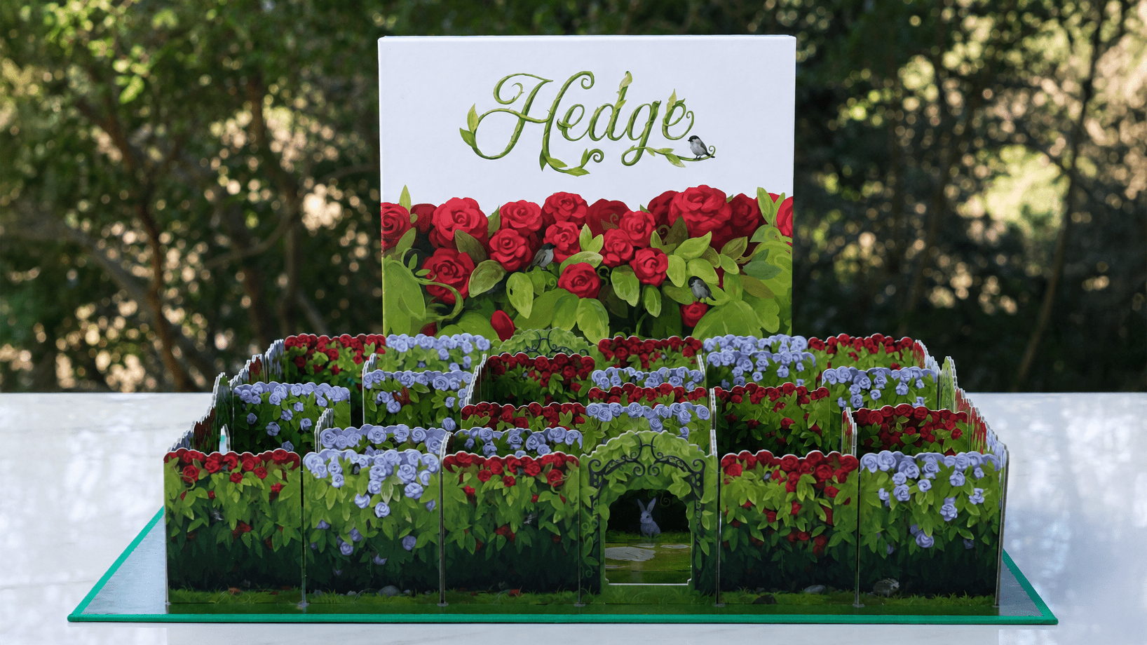 Hedge