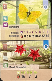 Forest Shuffle: Brimstone / Marsh Cinquefoil Promo Card