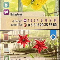 Forest Shuffle: Brimstone / Marsh Cinquefoil Promo Card