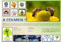 A Colmeia