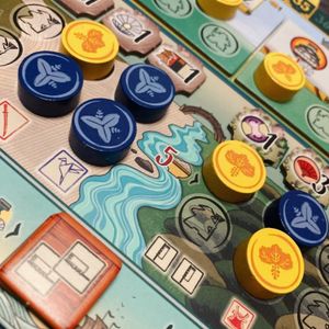 Carte Influenza e plancia giocatore