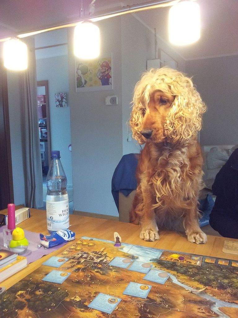 Bild zu Legends of Andor