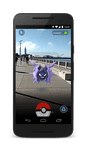 Video Game: Pokémon GO
