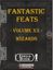 RPG Item: Fantastic Feats Volume 20: Wizards