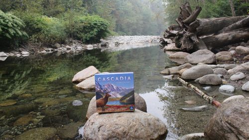 Board Game: Cascadia