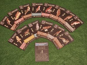 Frogmouth Fan Pack (fan expansion for Wingspan)