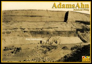 Adams Ahn
