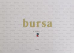 Bursa